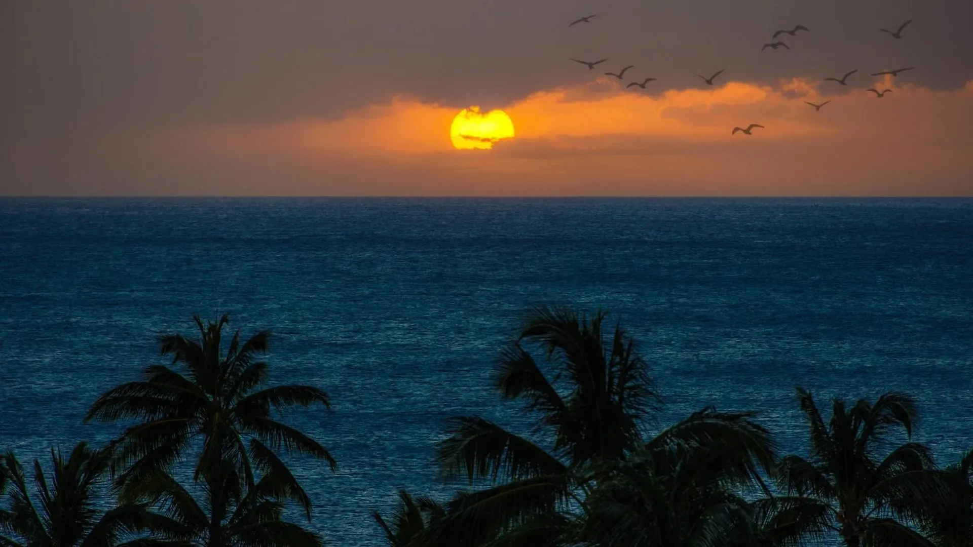 Διαμέρισμα Ko Olina Beach Villas O724 Kapolei Ηνωμένες Πολιτείες της Αμερικής
